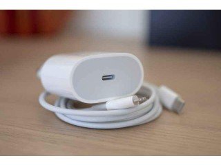 Apple 20W chargeur original (boite iPad)