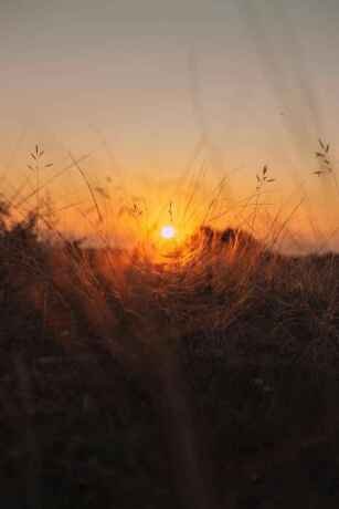 cours-de-russe-pour-debutants-et-intermediaires-big-0