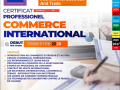 formation-haut-cadre-commerce-international