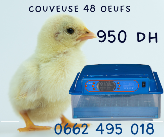 incubateur-48-oeufs-incubation-maitrisee-big-0