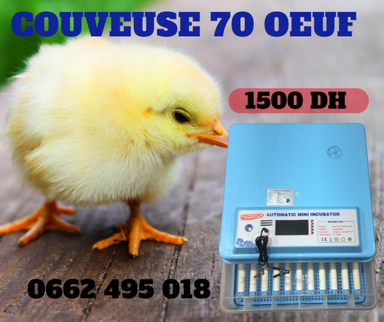 incubateur-70-oeufs-solution-pour-elevage-structure-big-0