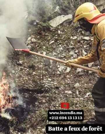 batte-a-feux-de-foret-batteur-forestier-big-4