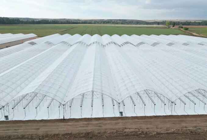 khbyr-oastshary-alzraaa-almayy-indoor-farming-oalmzaraa-alhdyth-big-1