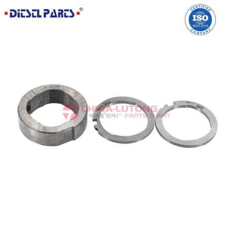 delphi-common-rail-fuel-injection-pump-camring-7189-100bq-big-0