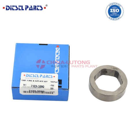 cav-dpa-diesel-rotary-injection-pump-camring-big-0