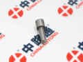 diesel-common-rail-nozzle-diesel-common-rail-nozzle