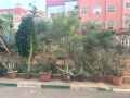 terrain-a-berkane-111m2-small-2