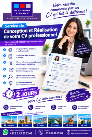 conception-realisation-de-cv-professionnel-big-0